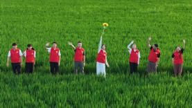 图片 1.png 图片 1.png